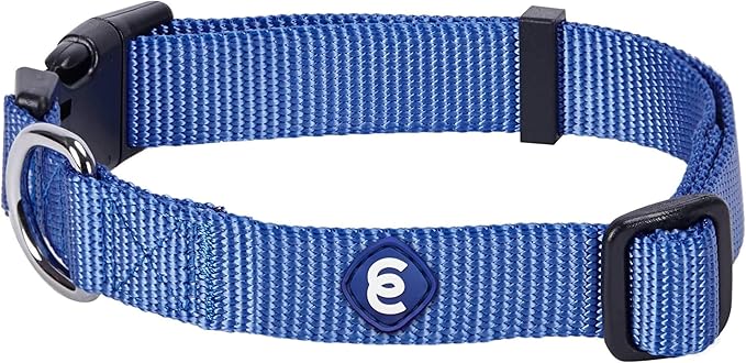 Blueberry Pet Essentials Medium Dog Collar in Marina Blue | Adjustable & Eco-Friendly Durable Nylon Strap | Classic Collar for Medium Dogs, Boy & Girl Pets