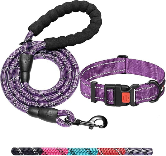 Heavy Duty Dog Leash - Comfortable Padded Handle, 5 ft Long - Dog Leashes for Small Medium Large Dogs (Leash+Collar XS Neck 10.5"-13.5", Purple)