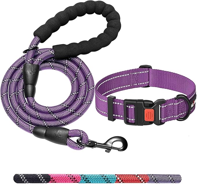 Heavy Duty Dog Leash - Comfortable Padded Handle, 5 ft Long - Dog Leashes for Small Medium Large Dogs (Leash+Collar S Neck 13.5"-16", Purple)