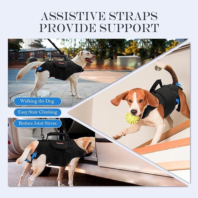 Dog Lift Harness, Full Body Support with Adjustable Control Handle for Senior Dogs, Post-Surgery Recovery & Joint Problems (Oxford Cloth, Custom Size)
