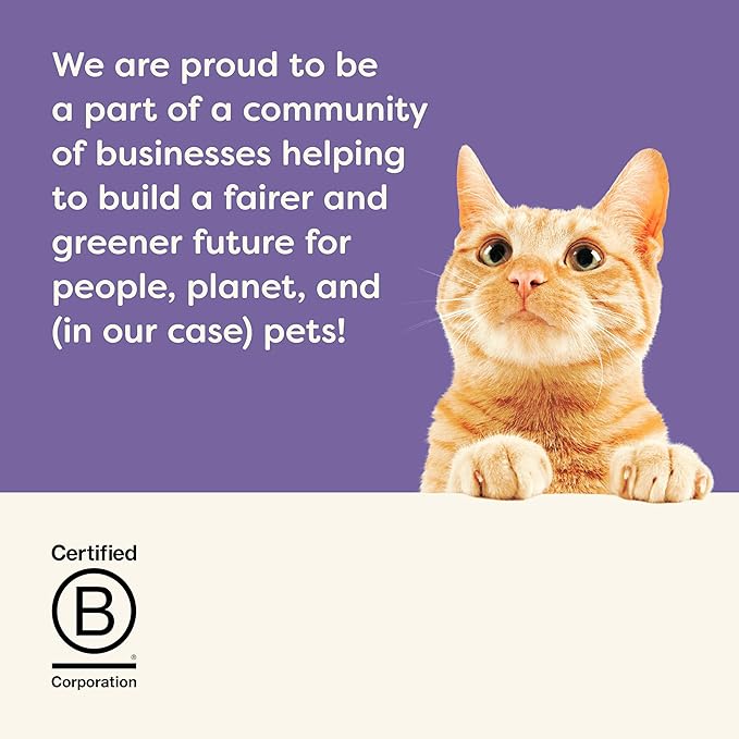 Applaws Natural Wet Cat Food, 8 Count, Limited Ingredient Cat Food Pots, Fish Variety Count in Broth, 2.12oz Pots