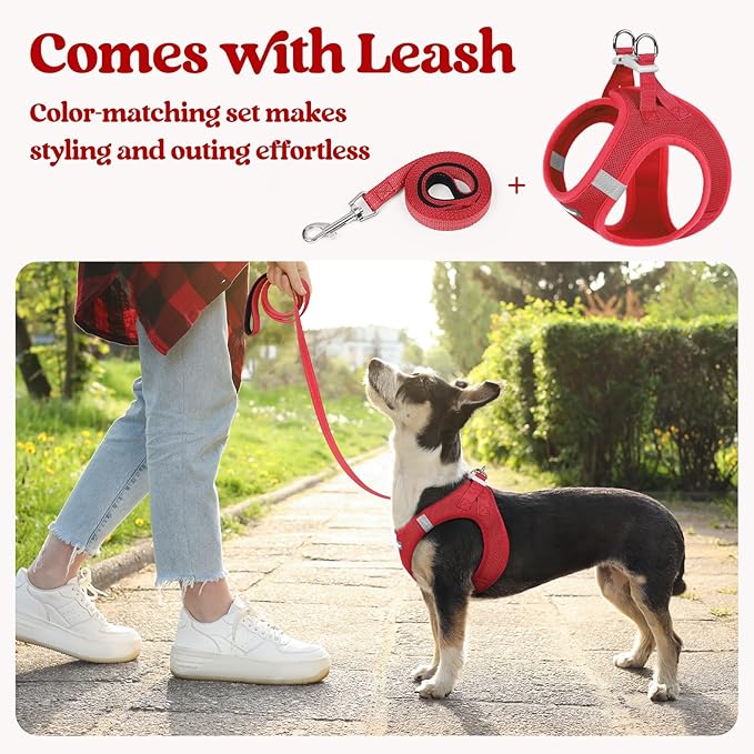 rabbitgoo Dog Harness Small Sized and Leash Set, Step in Soft Light Puppy Vest, Breathable Mesh Pet Harness, Reflective for Safe Easy Walking, Red S