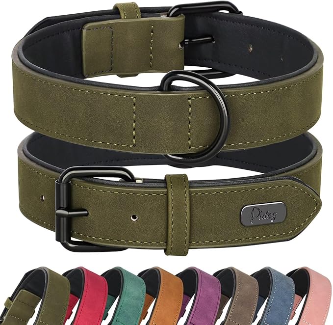 Didog Soft Padded PU Leather Dog Collar, Breathable and Adjustable Dog Collars for Small Dogs, Comfortable for Daily Walk, Dark Green, M Fit Neck 12-15"(13-22 lbs)