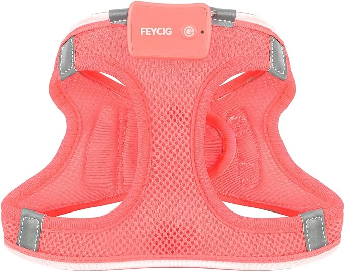 Light Up Dog Harness,Rechargeable LED Dog Harness for Small Medium Large Dogs,Reflective Lighted Safety Vest for Night Walking & Camping,Lightweight & Adjustable,Fluorescent Pink,M