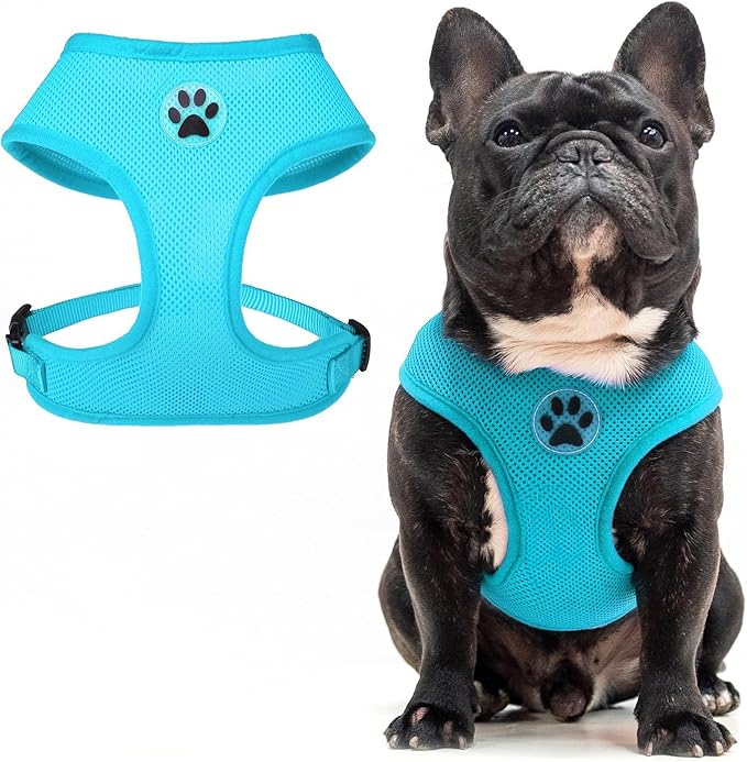 BINGPET No Pull Dog Harness,Soft Mesh Breathable All Weather Vest Harness,Safety Protection Design Durable Adjustable Step-in Easy Walk Dog Harness for Small Medium Large Dogs(RoyalBlue,M)