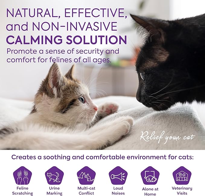 Cat Pheromones Calming Diffuser: Premium Pheromone Diffuser for Cats - Cat Pheromones Diffuser - Cat Calming Diffuser - Cat Calming Pheromone Diffuser, 3 Pack (Purple)