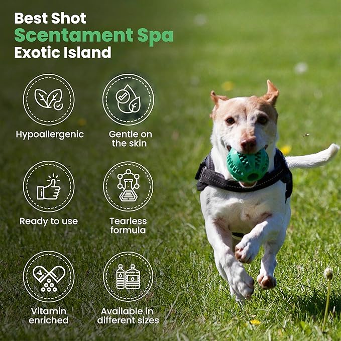 Best Shot Scentament Spa Seasonal Body and Facial Wash, Tearless Shampoo, Hypoallergenic Body Wash, Removes Tear Stains, Exotic Island, 1 Gallon