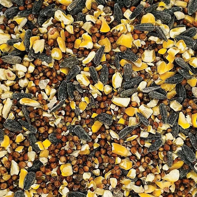 AMERICAN MELODY Wild Bird Feed - 20 Pound Bag