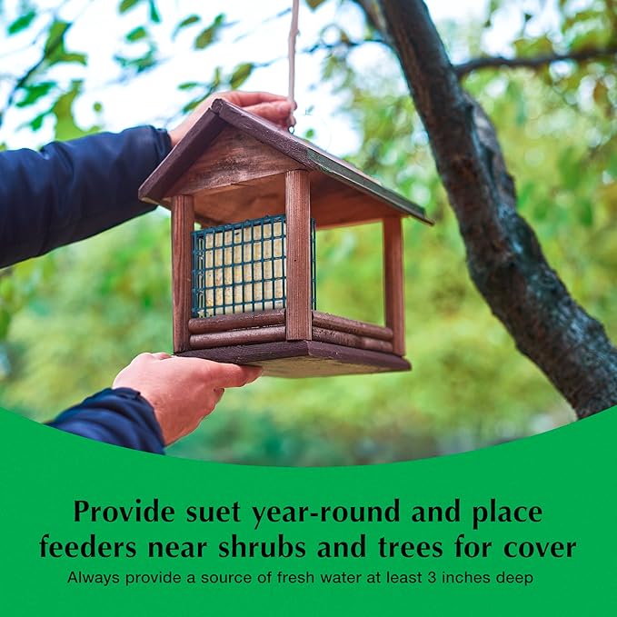 C&S Oriole Delight No Melt Suet Dough 11.75 Ounces 8 Pack