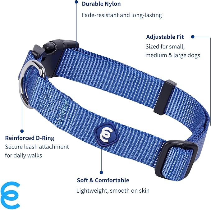 Blueberry Pet Essentials Medium Dog Collar in Marina Blue | Adjustable & Eco-Friendly Durable Nylon Strap | Classic Collar for Medium Dogs, Boy & Girl Pets