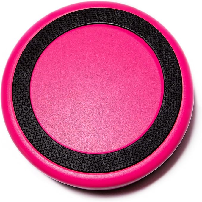 Bright Pink Dog Bowl for Small Dogs, 32 oz Non Slip Stainless Steel Pet Bowl, Vacuum Insulated Pet Bowl That Keeps Water Cool (32 oz, Bright Pink)