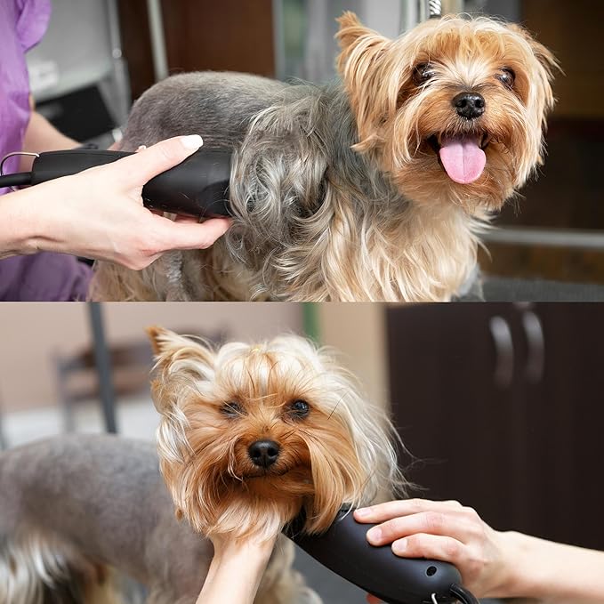 Detachable A Series 7f Blades for Dog Grooming Full Tooth Cuts Length 1/8" - 3.2mm Japanese High Carbon Steel 7F Dog Grooming Blade Supplies | 7f Blade Clippers (Compatible A5 Series(B7F)