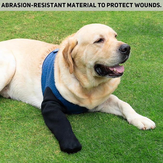 COODEO Dog Socks to Prevent Licking Paws, Healing Boots & Paw Protectors with Non-Slip Bottoms for Wound Protection, Waterproof Sleeve Shoes for Licking（Blue，M_Left
