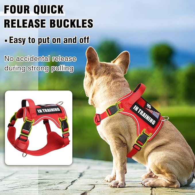 WINSEE Service Dog in Training Harness with 5 PCS Patches, Reflective Tactical Dog Vest Harness, Adjustable Soft Oxford Pet Harness with Easy Control Handle, Hook & Loop Panels for Walking Hiking