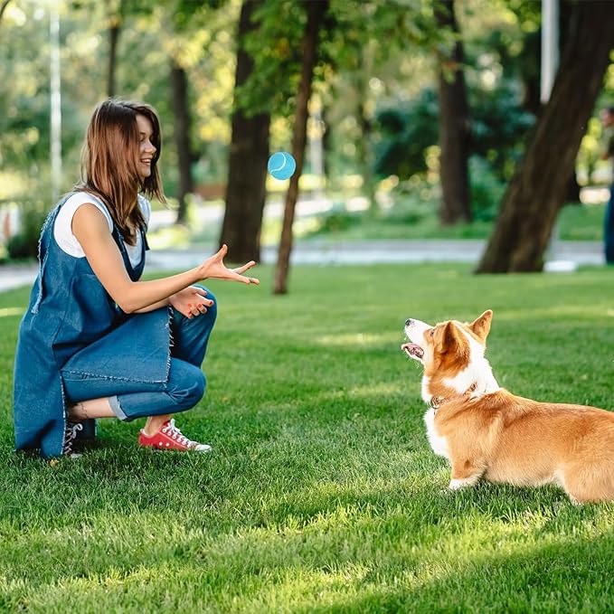 PrimePets Tennis Balls for Dogs, 2.5 Inch Thick Bouncy Ball for Dogs, Interactive Fetch Dog Toy Balls for Indoor Outdoor Play Fetch Dog Balls for Medium, Large Dogs