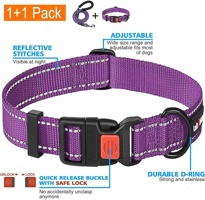 Heavy Duty Dog Leash - Comfortable Padded Handle, 5 ft Long - Dog Leashes for Small Medium Large Dogs (Leash+Collar M Neck 16"-20", Purple)