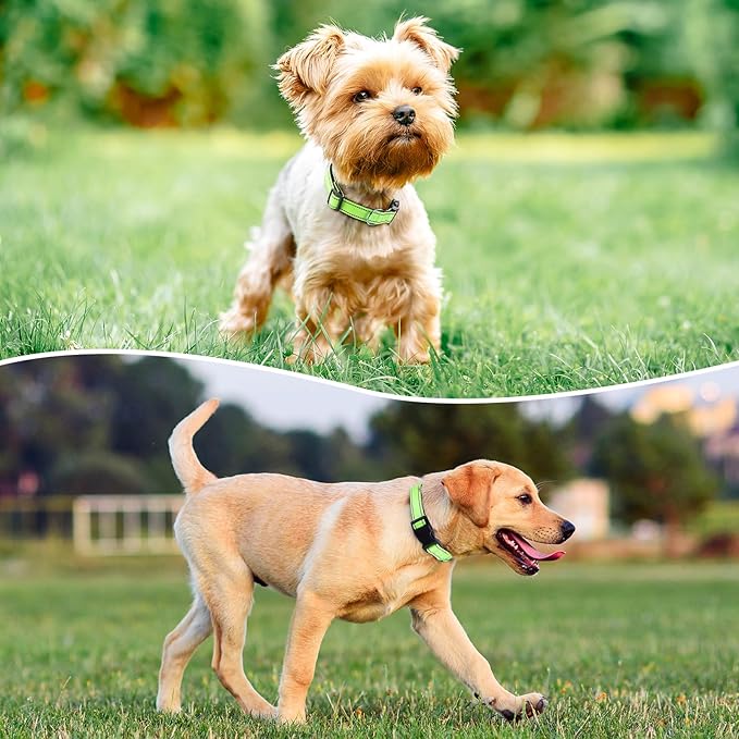 Reflective Dog Collar Padded with Soft Neoprene Breathable Quick Release Basic Dog Collars for Large Dogs Green Boy Girl