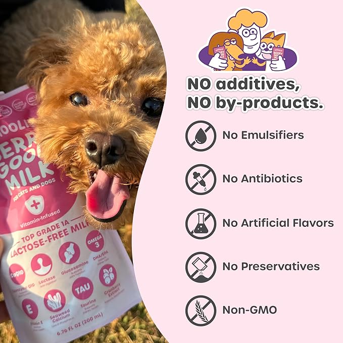 Berry Good Milk is a Lactose-Free, Vitamin-Infused Drink for Cats and Dogs. It Supports Urinary Health, Digestion, and Joint Function. Free from antibiotics, Grains, and Gluten.