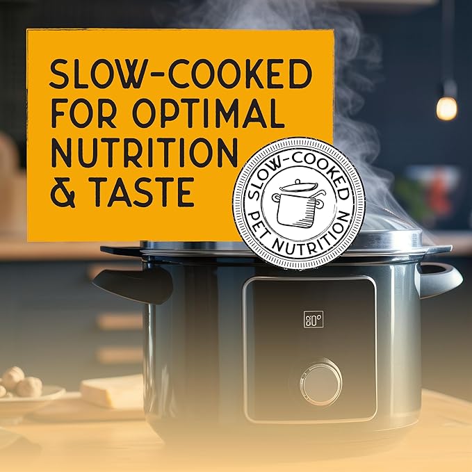 Blackwood Bounty Dry Cat Food, Chicken & Turkey Recipe for All Life Stages, 2 Pound Bag, High Protein, Grain Free