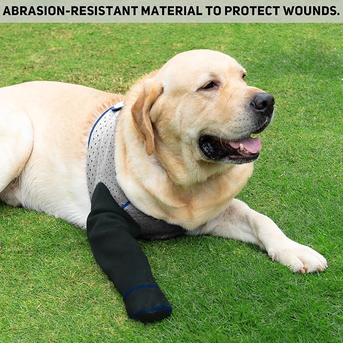 COODEO Dog Socks to Prevent Licking Paws, Healing Boots & Paw Protectors with Non-Slip Bottoms for Wound Protection, Waterproof Sleeve Shoes for Licking（Grey，L_Right