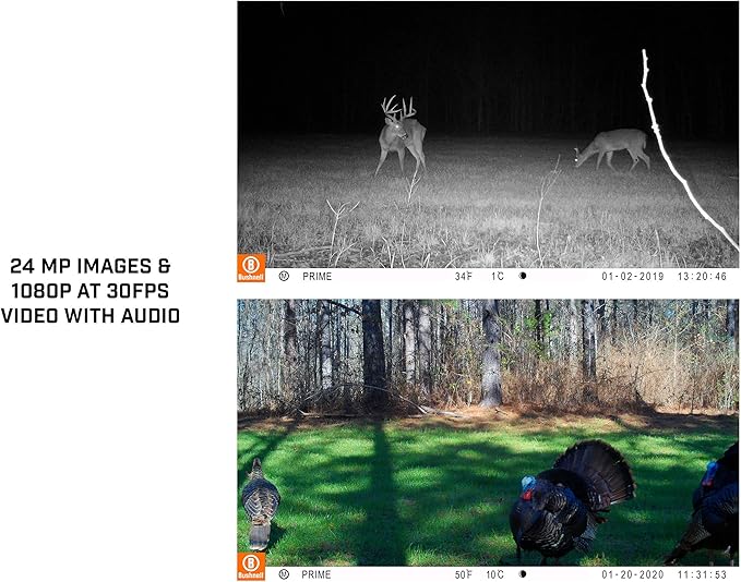 Bushnell Prime Low Glow Trail Camera - 24MP Image Quality, 1080p HD Video, Advanced Sensor Technology for Clear Nighttime Captures, Brown