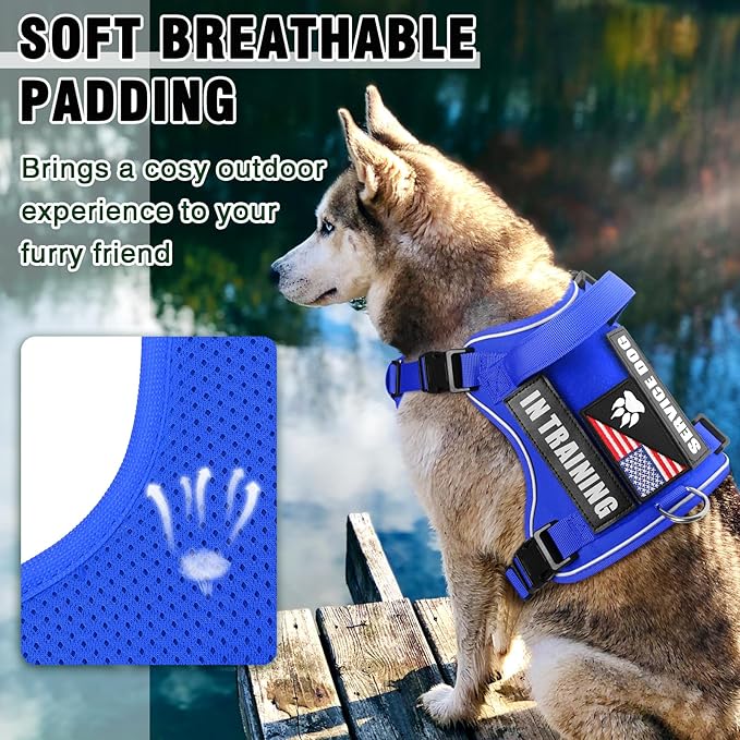 WINSEE Service Dog in Training Harness with 5 PCS Patches, Reflective Tactical Dog Vest Harness, Adjustable Soft Oxford Pet Harness with Easy Control Handle, Hook & Loop Panels for Walking Hiking