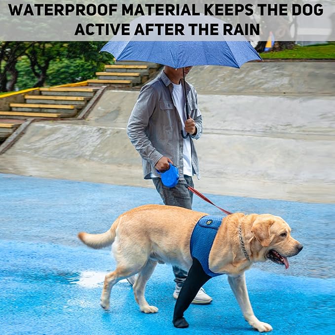 COODEO Dog Socks to Prevent Licking Paws, Healing Boots & Paw Protectors with Non-Slip Bottoms for Wound Protection, Waterproof Sleeve Shoes for Licking（Blue，3XL_Right