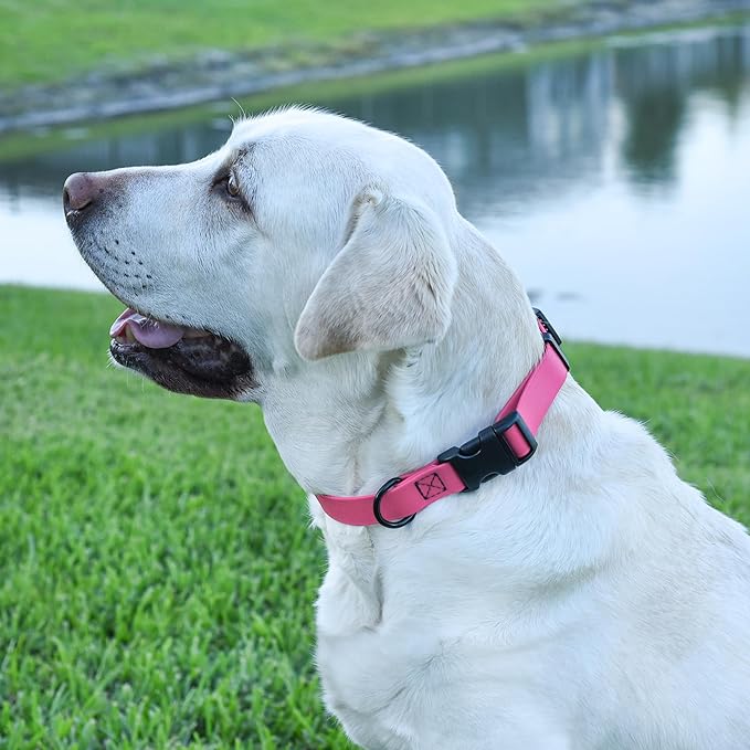 Dogline Biothane Waterproof Dog Collar with Quick Release Buckle Strong Coated Nylon Webbing with Odor- Proof for Easy Care Easy to Clean Fits Small Medium Large Dogs, Pink 5/8" W 9-14" L