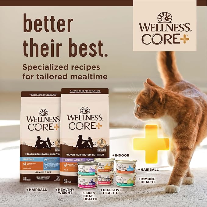 Wellness CORE+ Adult Dry Cat Food for Indoor and Outdoor Cats, Wholesome Grains, Natural, Digestive Health Salmon & Rice (11 Pound Bag)
