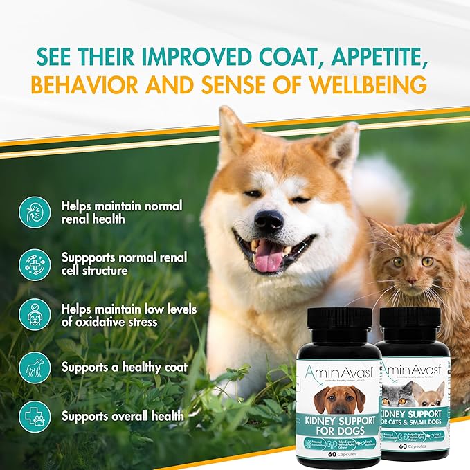 AminAvast Small Dogs & Cat Kidney Support - Promotes Healthy Kidney Support in Cats & Small Dogs - 300mg, 60 Capsule