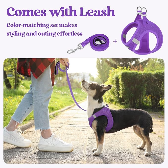 rabbitgoo Dog Harness Small Sized and Leash Set, Step in Soft Light Puppy Vest, Breathable Mesh Pet Harness, Reflective for Safe Outdoor Walking, Purple XXS