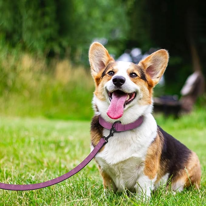 Didog Soft Padded Leather Dog Collar and Leash Set, Heavy Duty Dog Leash and Collar Set with Metal Buckle, Breathable Dog Collars with 4FT Leather Dog Leash for Small Medium Large Dogs, Purple, M