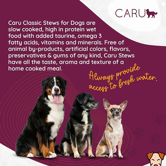 Caru - Real Turkey with Lamb for Dogs, Natural Adult Wet Dog Food with Added Vitamins and Minerals, Free from Grain, Wheat and Gluten (12.5 Ounce, Pack of 12)