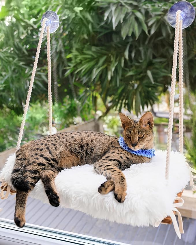 Cat Window Perch for Large Cats - Hammock Bed for Heavy Indoor Cats - Solid Wood Seat, 5 Strong Suction Cups, Soft Cushion - Rustic Shelf for Pets Inside