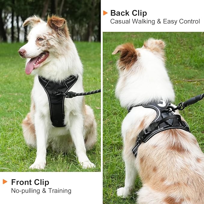 Taglory Light Up Dog Harness, Rechargeable No Pull Dog Vest with 3 Lightning Modes, Reflective Dog Harness with 2 Leash Clips & 4 Adjustable Slide Strips for Small Dogs, Black-Blue, S
