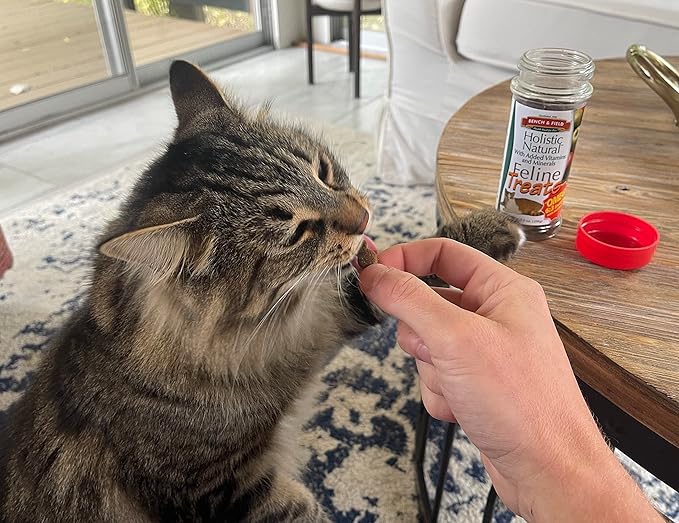 Bench & Field Holistic Natural Healthy Kitty Cat Treats | Crunchy Fish-Shaped Bites | Delicious Seafood Flavored Snack, 3-Ounce (Pack of 2 Bottles)