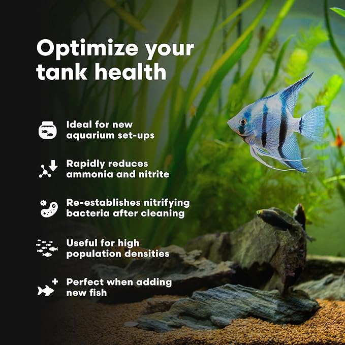 Brightwell Aquatics MicroBacter Start XLF - Concentrated Freshwater Nitrifying Bacteria - Quick Start Fish Tank Starter, Lift Microbe Levels & Water Filtering - Aquarium Water Treatments, 33.8 fl oz