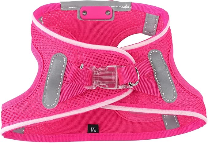 Light Up Dog Harness,Rechargeable LED Dog Harness for Small Medium Large Dogs,Reflective Lighted Safety Vest for Night Walking & Camping,Lightweight & Adjustable,Pink,S