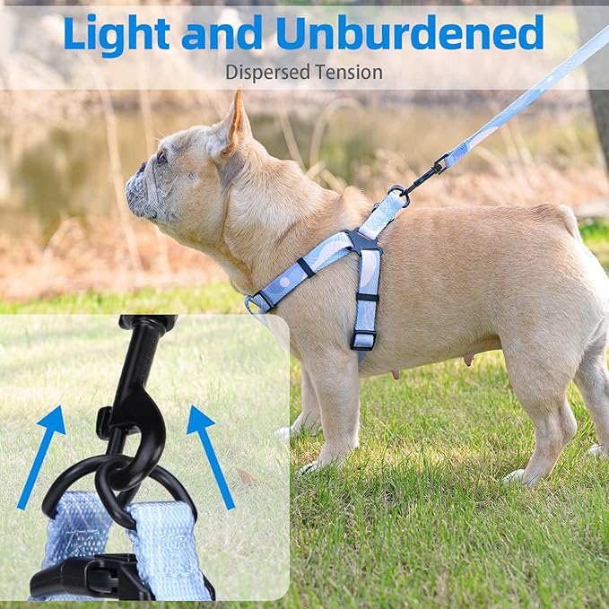 PUPTECK No Pull Dog Harness Soft Adjustable Basic Nylon Step in Puppy Vest Outdoor Walking with Leash Medium