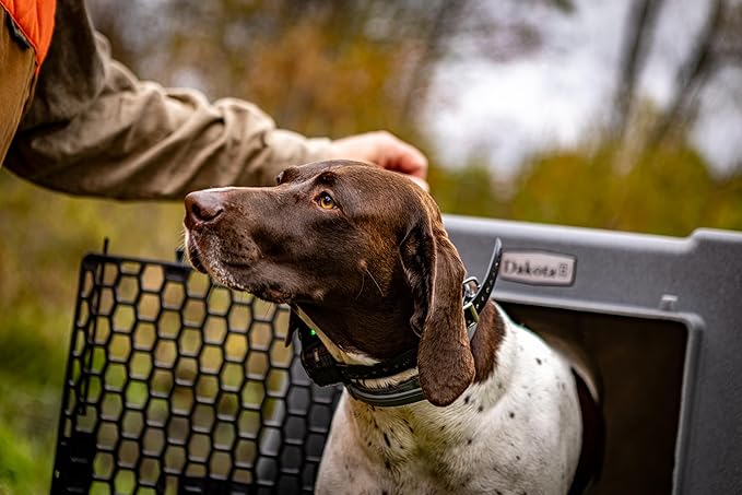 Dakota 283 Crate - Canine Rough and Tough Economy Kennel (Orange, Intermediate)