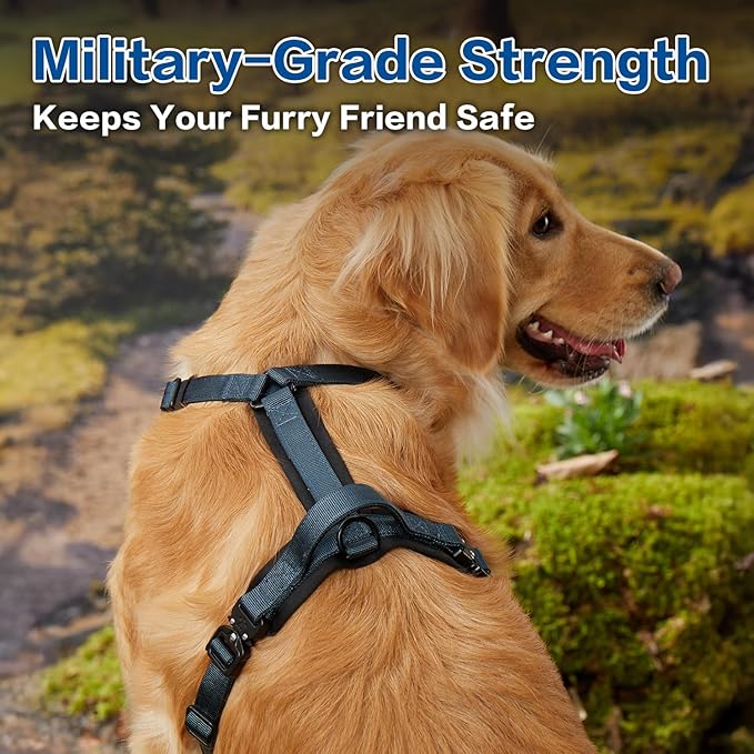CLEPAWS Dog Harness for X-Large Dogs, No Pull Dog Harness Easy Walk with Metal Hardware, Ergonomic Y-Shaped Design, Soft Padding, Padded Handle, Durable High-Tensile Nylon (Nightfall, XL)