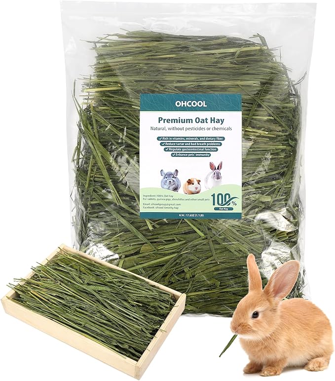 Premium Oat Hay for Pets - Dust Free Natural Green Fresh Pet Food Hay for Rabbits, Guinea Pigs, Chinchillas, Hamsters & Gerbils - 2.2lbs
