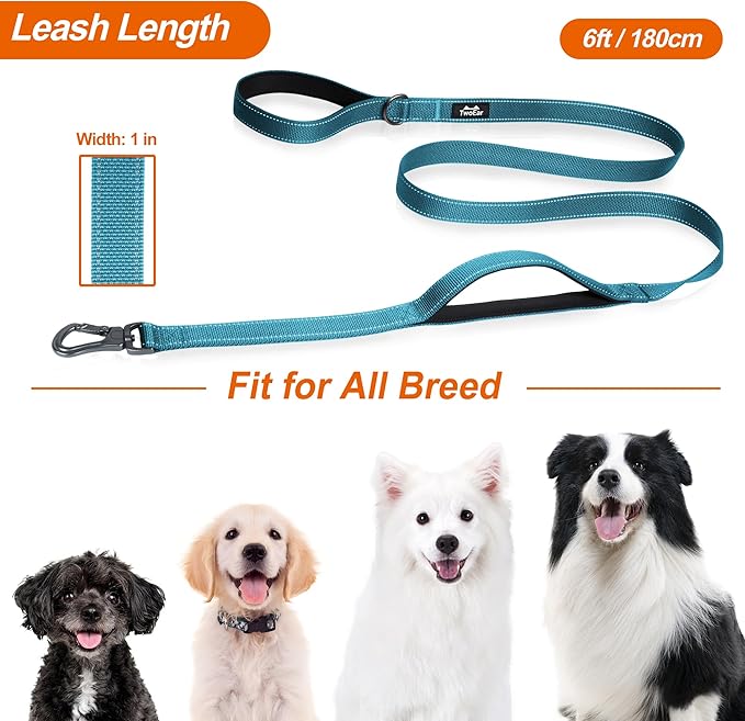 TwoEar 6FT 1IN Strong Blue Dog Leash with 2 Padded Handles, Traffic Handle Extra Control, Comfortable Soft Dual Handle, Auto Lock Hook, Reflective Walking Lead for Small Medium and Large Dogs