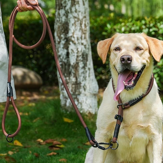 Rope Dog Leash, 4 ft Heavy Duty Dog Leash with Aviation Aluminum Auto Locking Carabiner, Strong Nylon Pet Lead for Small, Medium, Large Dogs (Navy Blue, 4FT)