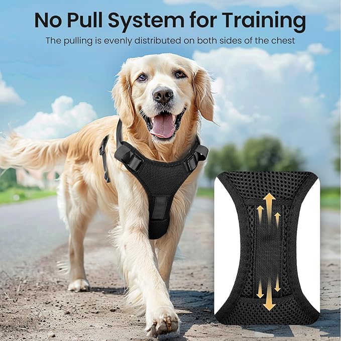 Light Up Dog Harness,Reflective Pet Harness Rechargeable,Led Dog Vest Harness for Night Walking,Adjustable Dog Safety Vest for Small Medium Large Dogs-No Pull,Black,XL