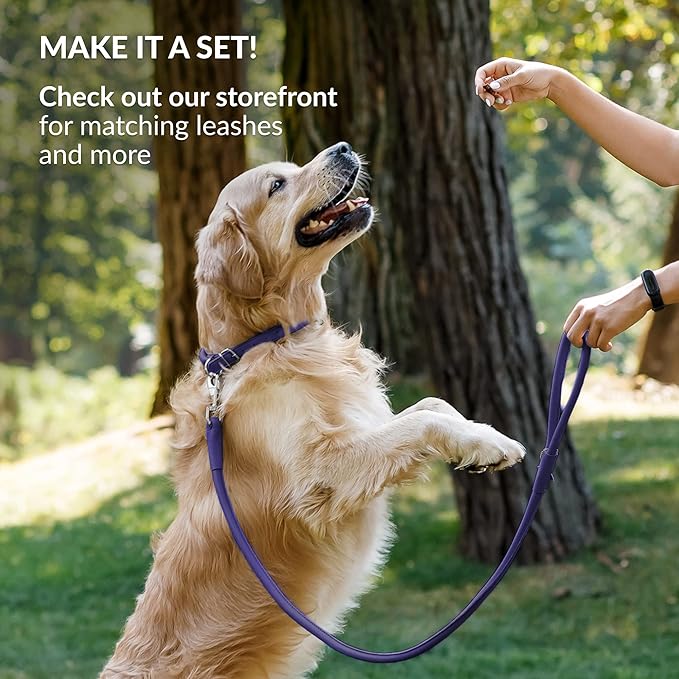 CollarDirect Rolled Leather Dog Collar, Soft Padded Round Puppy Collar, Handmade Genuine Leather Collar Dog Small Large Cat Collars 13 Colors (15-19 Inch, Purple Smooth)