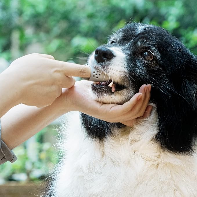 Coomazy Dog Finger Toothbrush, Dog Tooth Brushing Kit with Food Grade Silicone, Easily Clean Teeth Dirt, Suitable for Medium and Large Dogs, 2-Packs, Beige+Grey