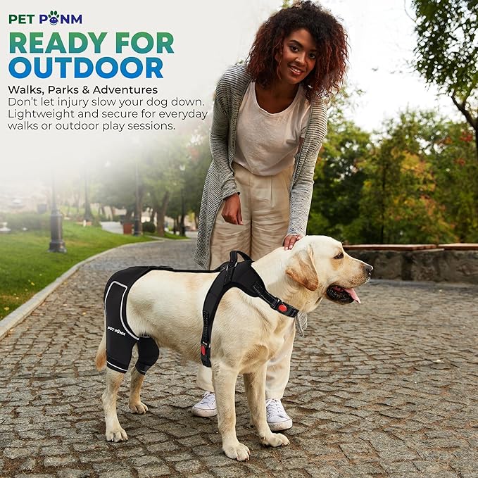 Comfortable Dog Knee Brace for Both Hind Legs with Harness - for ACL Tear, Luxating Patellae, Osteoarthritis & Instability - for Recovery & Injury Prevention in Active/Aging Dogs - (XSmall)