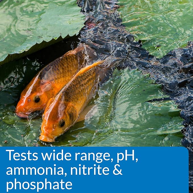 API POND MASTER TEST KIT Pond Water Test Kit 500-Test