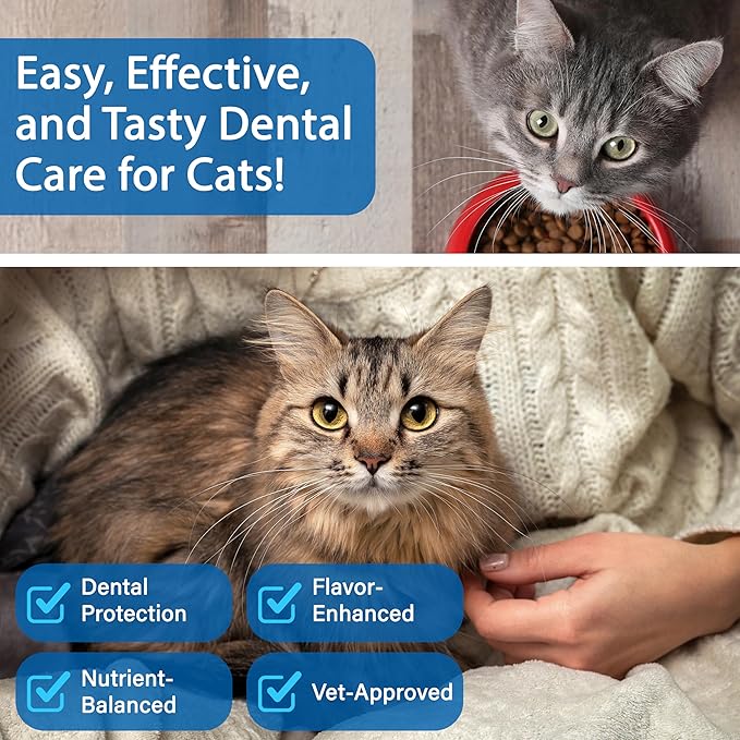 Cat Dental Care Powder Bad Breath Treatment for Cats Teeth, Mouth, Gums & Gut, Plaque Off,Tartar Control, Help Feline Gingivitis and Stomatitis, with Natural Extracts & Probiotics